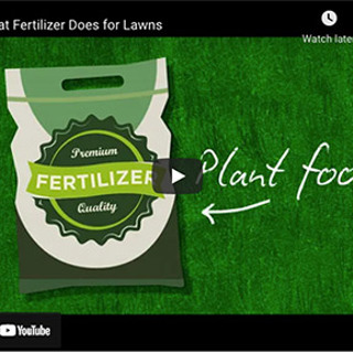 What Does Fertilizer Do For My Lawn