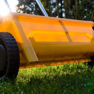 Lawn Aeration: Why You Need it