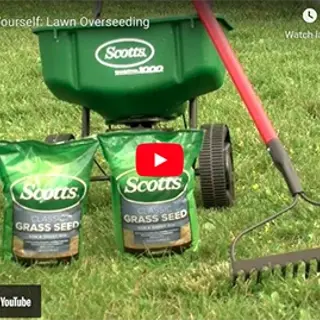 Do-it-Yourself: Lawn Overseeding