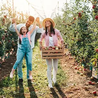 Fall Planting: Autumn Is the Perfect Time to Refresh Your Landscape