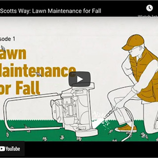 Important Lawn Care Tips for the Fall