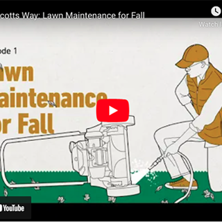 Important Lawn Maintenance Projects for the Fall