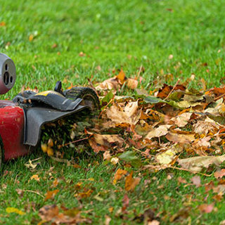 Don't Rake: Mulch Leaves Into Your Lawn Instead!