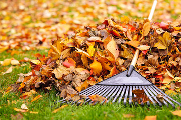 Monnick Supply - Leaf Raking Tips