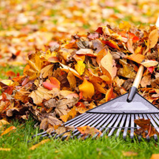 Preparing your Lawn for Winter