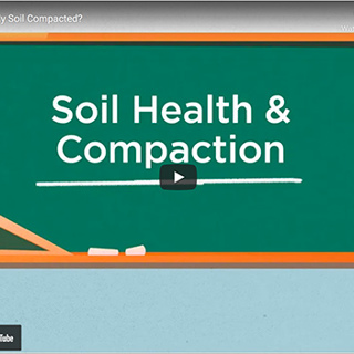 Why is My Soil Compacted?
