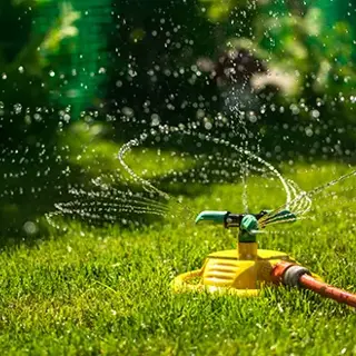 Watering the Lawn: How to Tell If You've Watered Enough