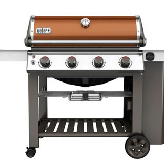 A New Gas Grill for Dad!